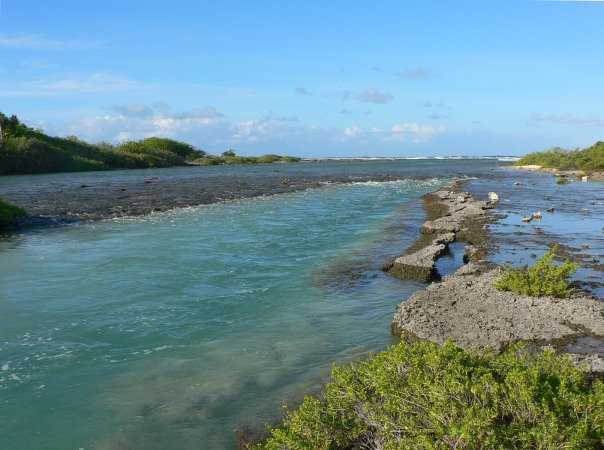 50- Le flot de l'ocean traverse le hoa 